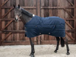 Stalldecke Classic, 100 g