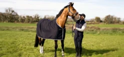 Stalldecke Emerald Wool Rug, 0 g