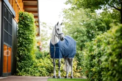 Stalldecke Ionic Therapy Stable, 50 g, Keramik, Infrarot