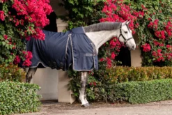 Stalldecke Rambo Optimo Stable Sheet, 0 g