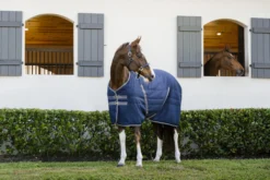 Stalldecke Rambo Stable Rug, 200 g, Winterdecke