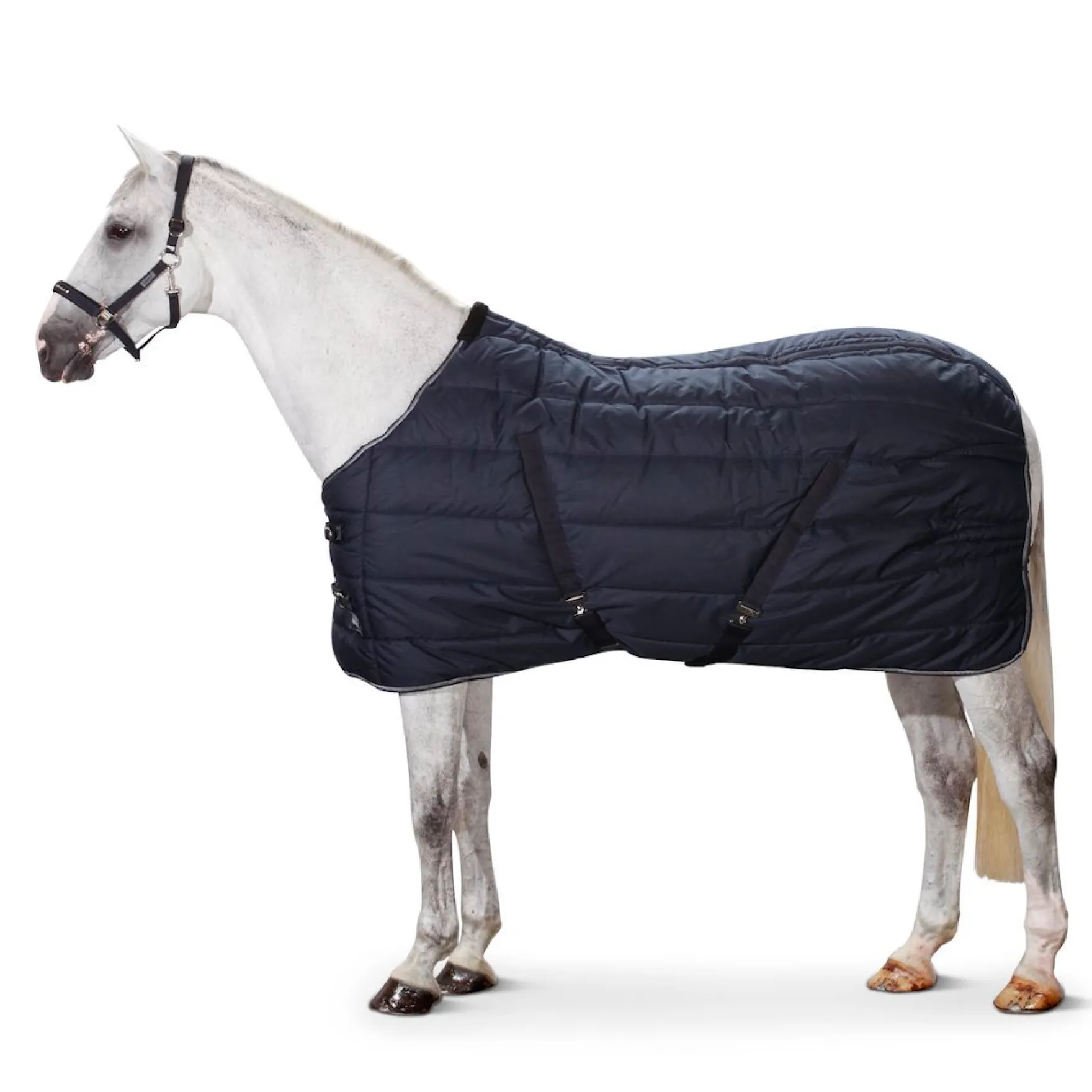 Stalldecke Ripstop Stable, 200 g