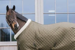 Stalldecke Show Rug Limited Edition, 160 g, Turnierdecke, Kunstfell