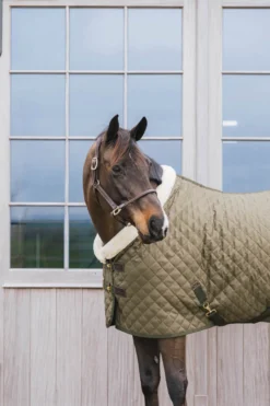 Stalldecke Show Rug Limited Edition, 160 g, Turnierdecke, Kunstfell