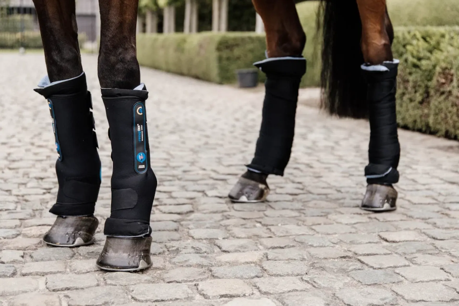 Stallgamaschen Magnetic Recuptex, Therapiegamasche