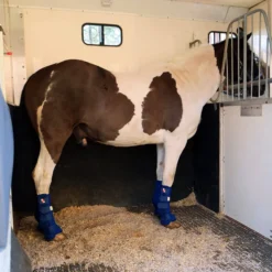 Stallgamaschen Stable Chaps, Transportgamaschen, Weidegamaschen, 2er Set