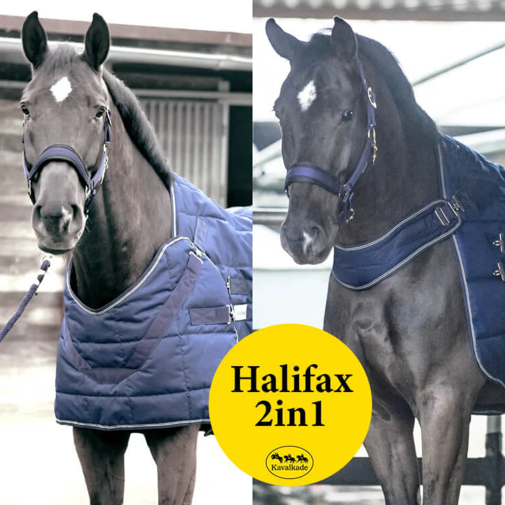 Stall- und Führanlagendecke Halifax, 400 g