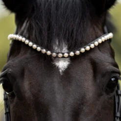 Stirnriemen Pearl, geschwungen