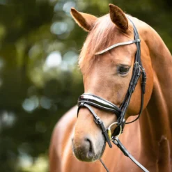 Stirnriemen Princess, gebogen