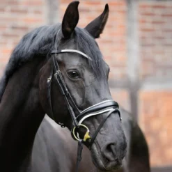 Stirnriemen Stardust, gebogen