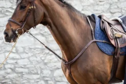 Stoßzügel DC Standing Martingale Attachment