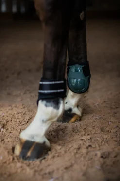 Streichkappen Sycamore Green, anatomisch