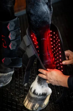 Therapiegamasche LED-Rotlicht-Therapie FS26, rechts