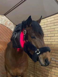 Therapiegamaschen LED Lichttherapie Red Edition, 2 Stück