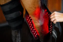 Therapiegamaschen LED-Rotlicht-Therapie FS26, Sprunggelenksgamasche, links