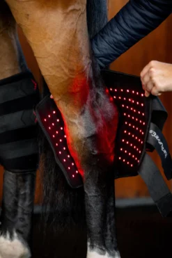 Therapiegamaschen LED-Rotlicht-Therapie FS26, Sprunggelenksgamasche, 2 Stück