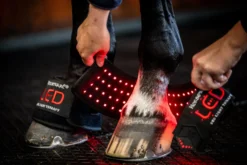 Therapiehufglocken LED-Rotlicht-Therapie FS26, 2 Stück