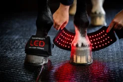 Therapiehufglocken LED-Rotlicht-Therapie FS26, 4 Stück