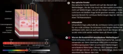 Therapiehufglocken LED-Rotlicht-Therapie FS26, 4 Stück