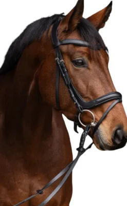 Trense Anatomic, englisch kombiniert, mit Zügeln
