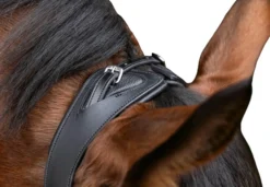 Trense Anatomic, englisch kombiniert, mit Zügeln