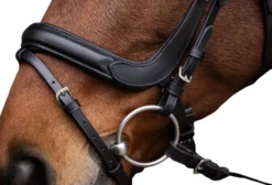 Trense Anatomic, englisch kombiniert, mit Zügeln