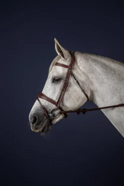Trense Anatomic Flash NEC, englisch kombiniert