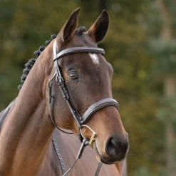 Trense Benita, Huntertrense, englisch kombiniert, mit Zügeln