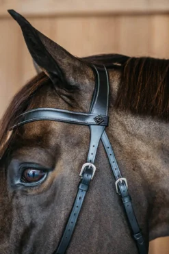 Trense Bitless Bridle WC, englisch, gebisslos, ohne Zügel