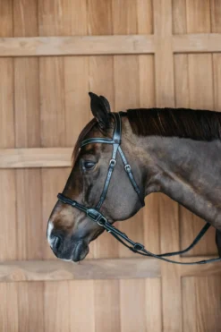 Trense Bitless Bridle WC, englisch, gebisslos, ohne Zügel