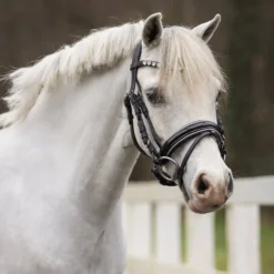 Trense Bixie, schwedisch kombiniert, Ponytrense, mit Lack und Glitzer, mit Zügeln