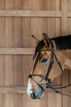 Trense Braided DC, englisch kombiniert