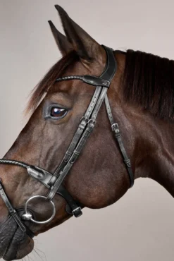 Trense Braided NEC, englisch kombiniert