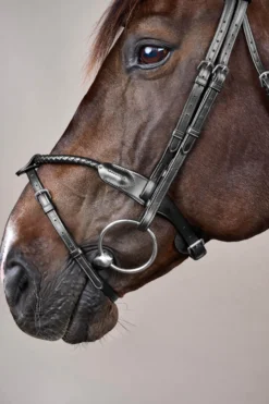 Trense Braided NEC, englisch kombiniert