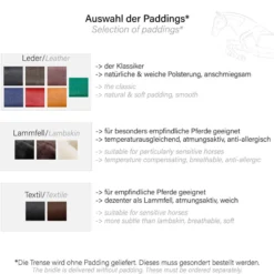 Trense Caliano Via, englisch kombiniert, ohne Zügel