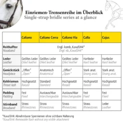 Trense Calla, englisch kombiniert, mit Strassstirnband, ohne Zügel