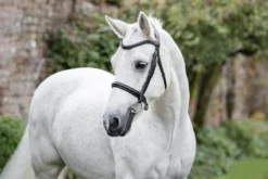 Trense Cavesson Pony FS26, englisches Reithalfter, ohne Sperrriemen