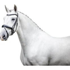 Trense Dressage Flash FS26, schwedisch kombiniert, ohne Zügel
