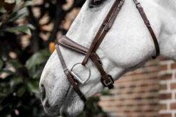 Trense Dressage Flash FS26, schwedisch kombiniert, ohne Zügel