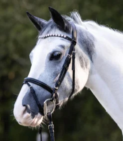 Trense Happy Hearts, englisch kombiniert, Ponytrense, Lack, mit Zügeln