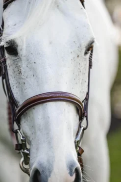Trense Hunter Cavesson Pony FS26, englisches Reithalfter, mit Zügeln, ohne Sperrriemen