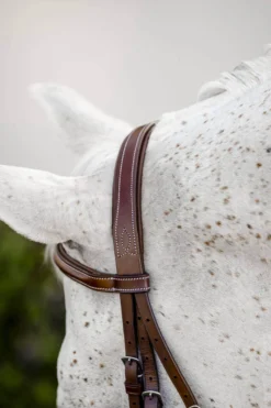 Trense Hunter Cavesson Pony FS26, englisches Reithalfter, mit Zügeln, ohne Sperrriemen