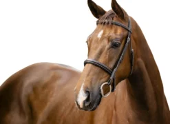 Trense Hunter FS26, englisches Reithalfter, ohne Zügel, ohne Sperrriemen