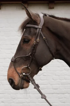 Trense Hybrid Bridle DC, ohne Zügel