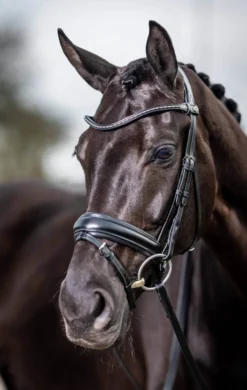 Trense Kudos Classic Dressage, schwedisch kombiniert