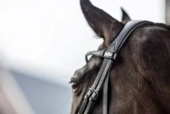 Trense Kudos Classic Dressage, schwedisch kombiniert
