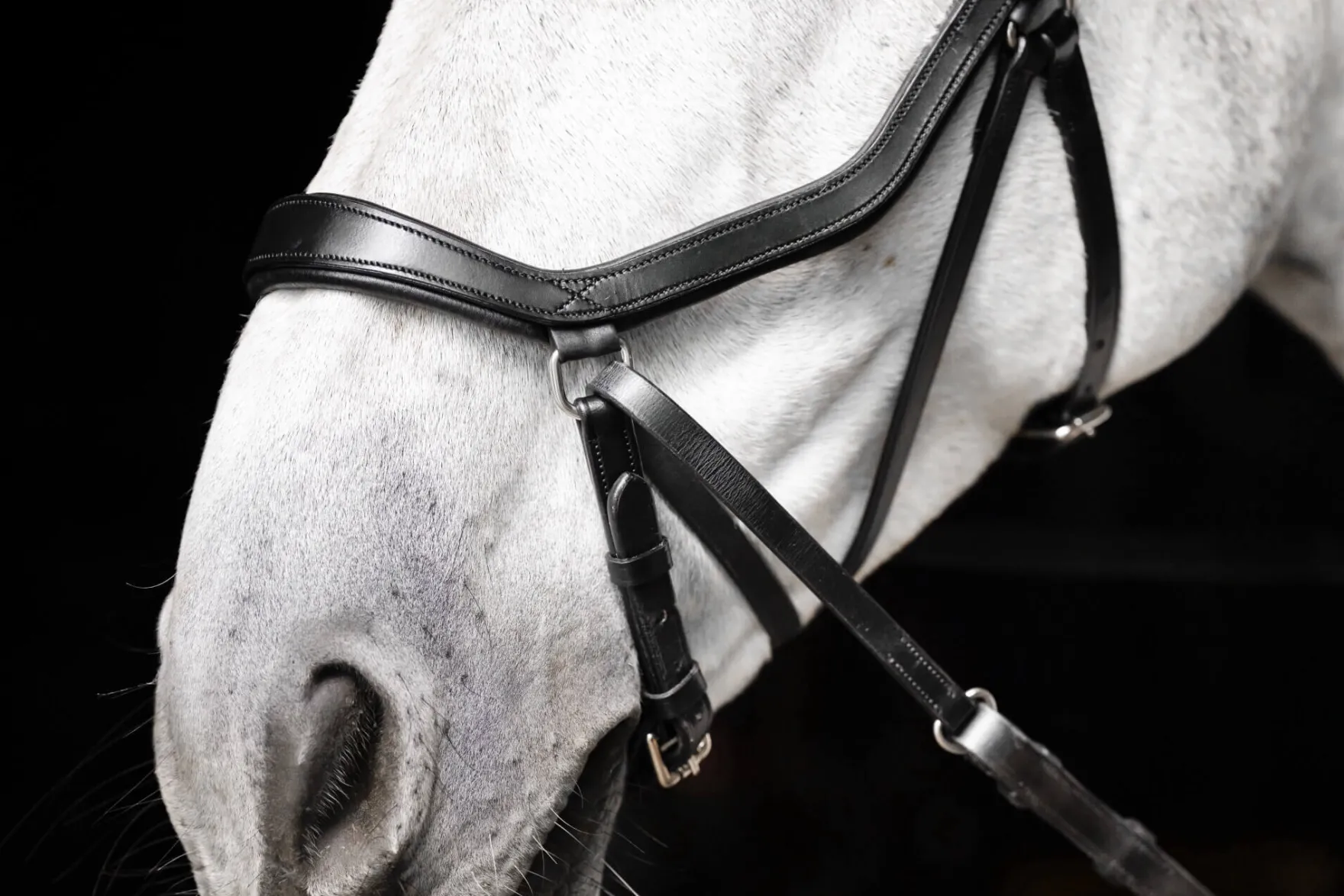 Trense Micklem 3 Bitless Bridle FS26, gebisslos