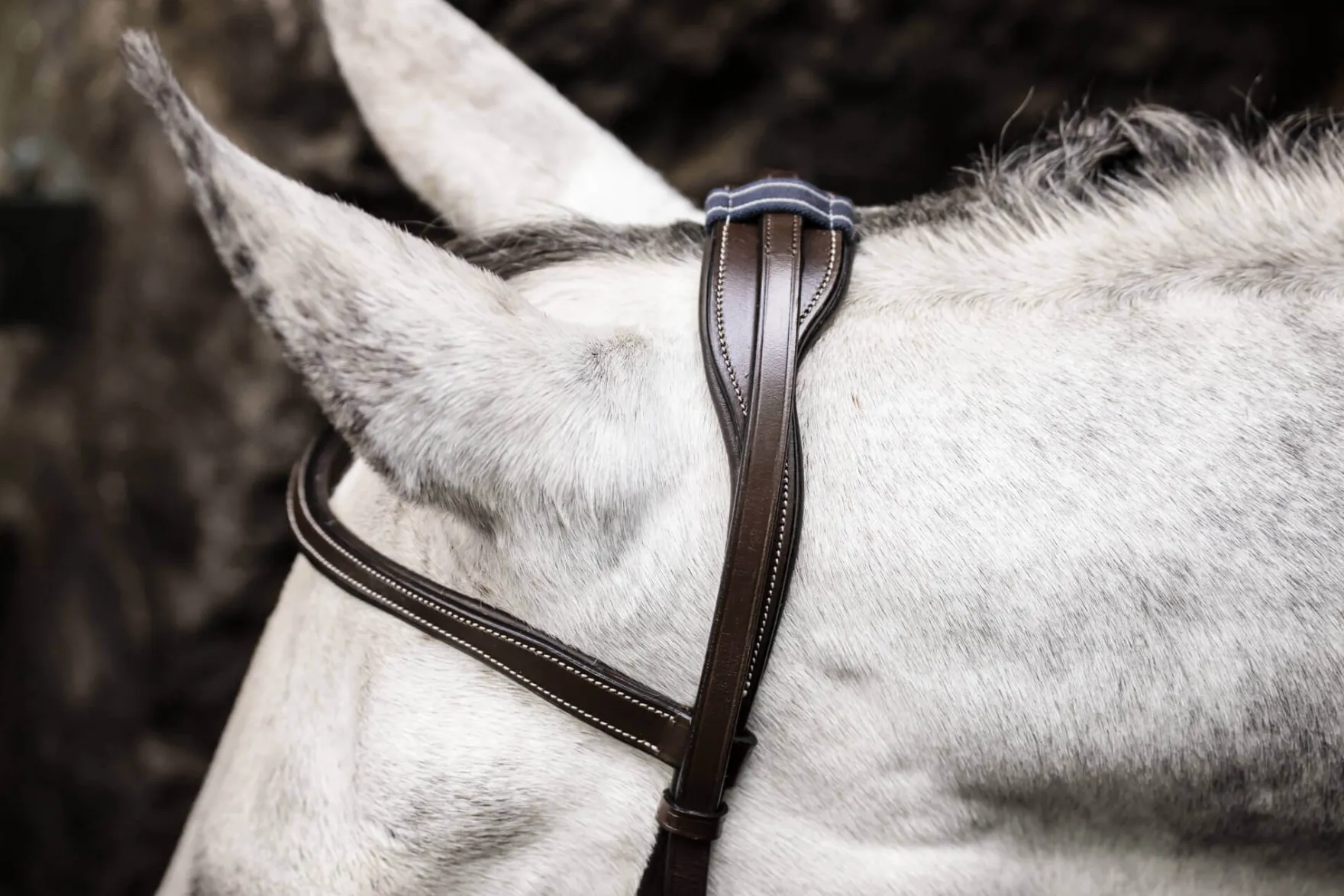 Trense Micklem 3 Bitless Bridle FS26, gebisslos