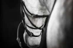 Trense Micklem 3 Bitless Bridle FS26, gebisslos