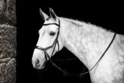Trense Micklem 3 Bitless Bridle FS26, gebisslos